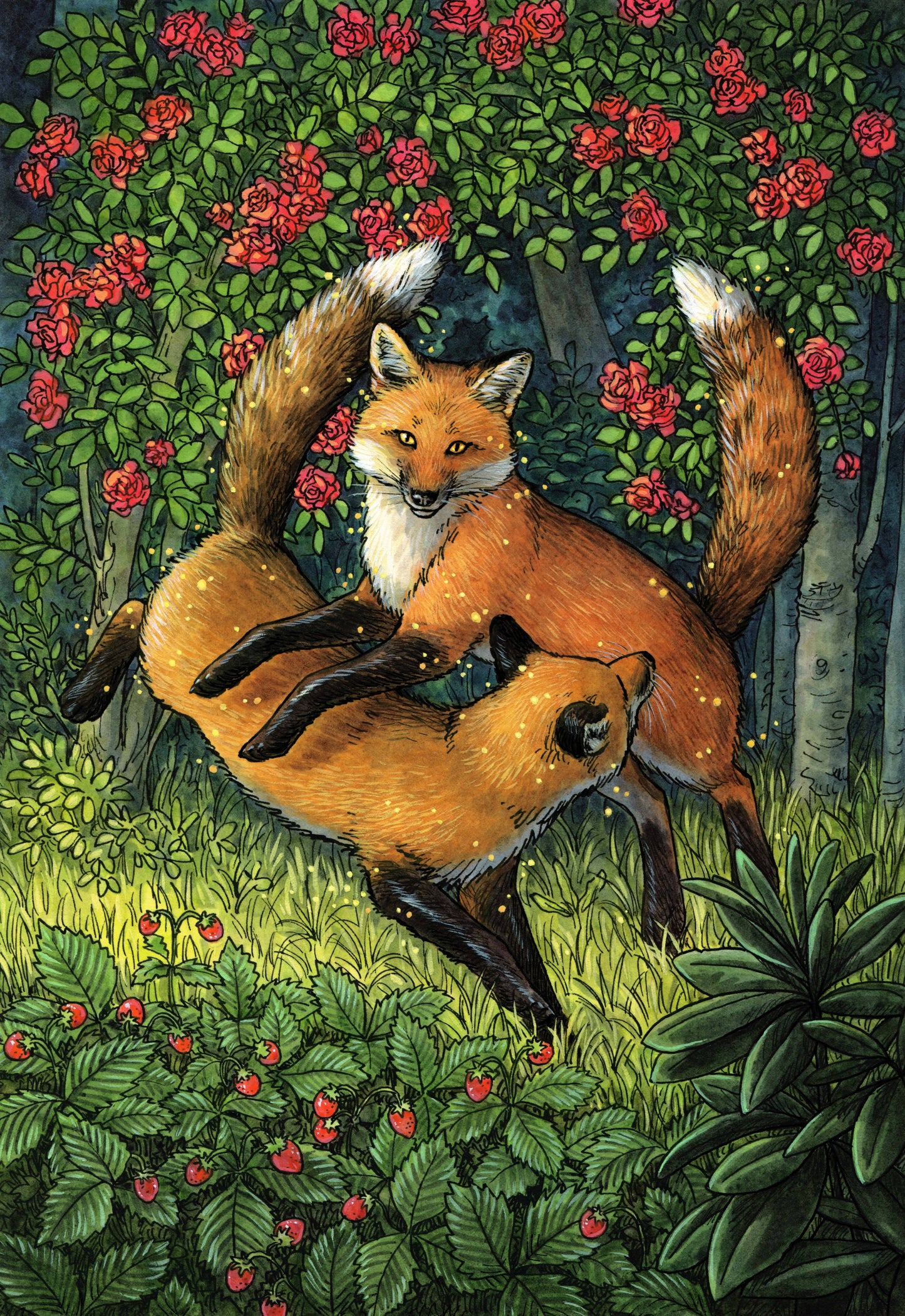Fox (FEA336)