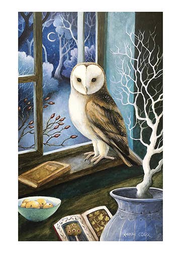 Visitor At My Window by Amanda Clark