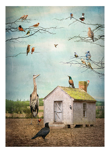 FF263 Greeting Card