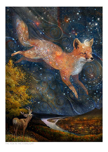 The Fox in the Starlight by Lucy Campbell