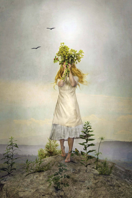 The Herbalist by Elisabeth Ladwig
