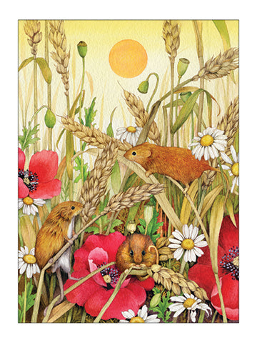 GVG380 - Grasshopper Press - Vertical Cards