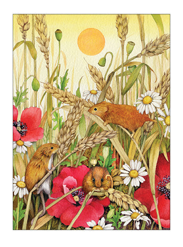 GVG380 - Grasshopper Press - Vertical Cards