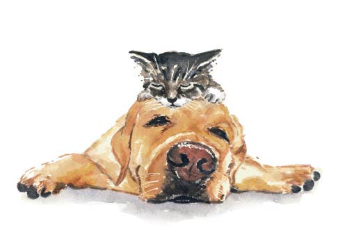 The Perfect Pillow by Deidre Wicks