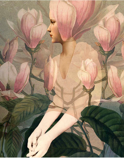 Magnolia