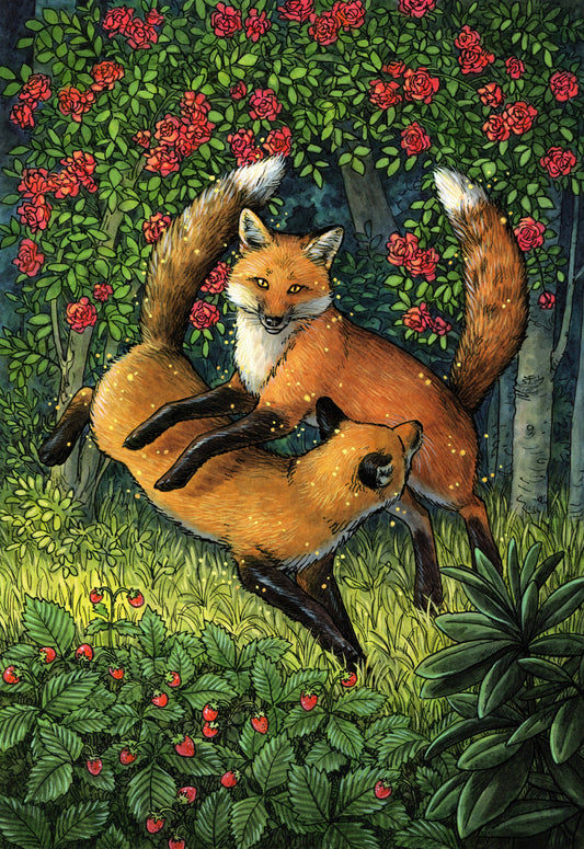Fox