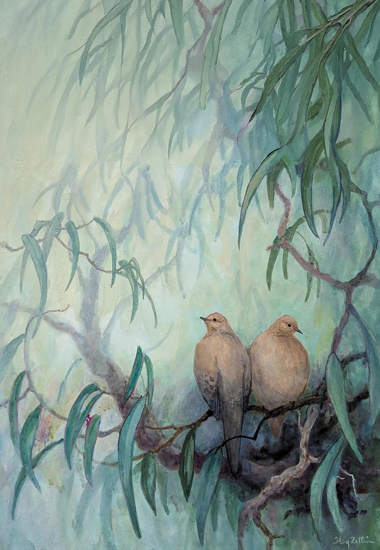 Mourning Doves in Eucalyptus