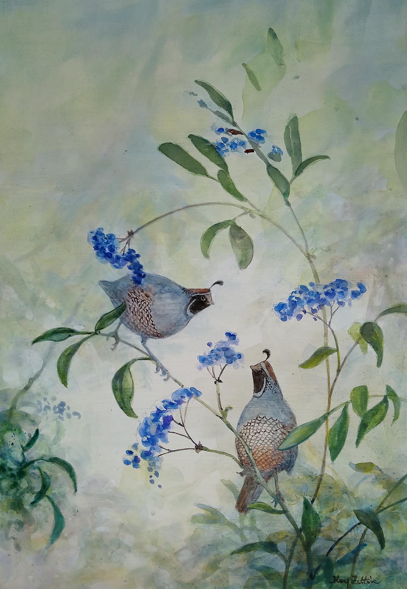 Quail and Elderberries