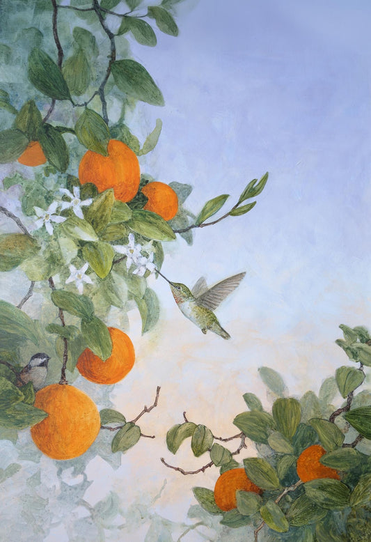 The Hummingbird and Orange Tree