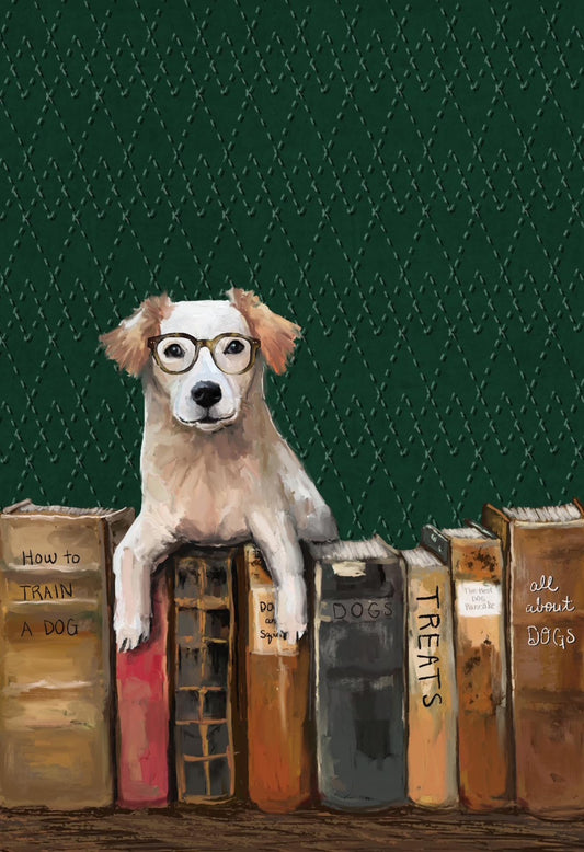 Library for Dogs (GCW405)