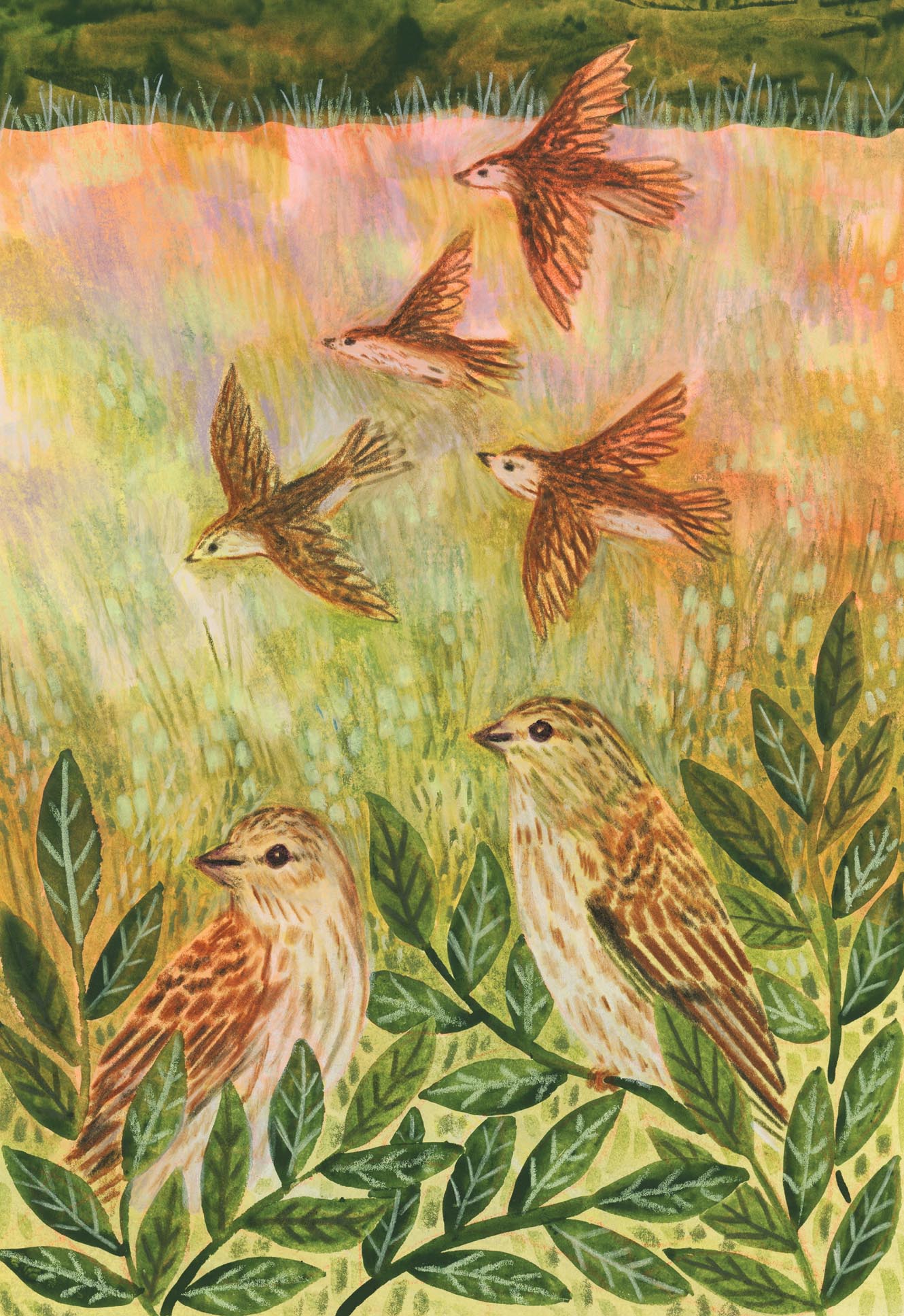Linnets In the Autumn Field
