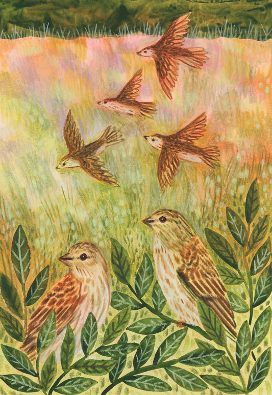 Linnets In the Autumn Field