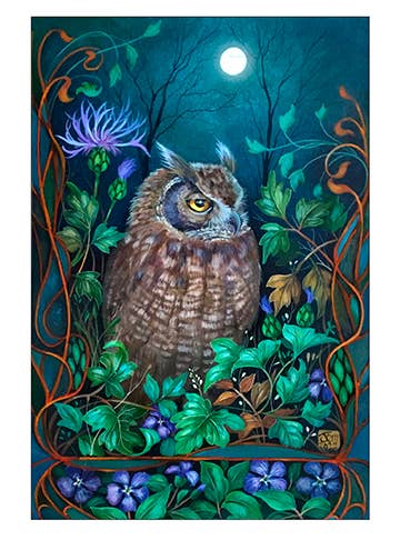 Owl by Jemima Jameson