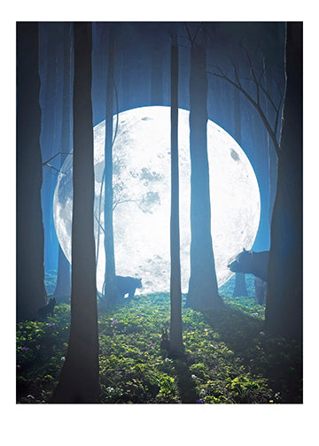 FF202 Greeting Card