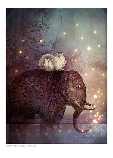 CD41 - Catrin's Dream - Vertical Cards