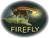 firefly