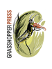 grasshopperpress-home